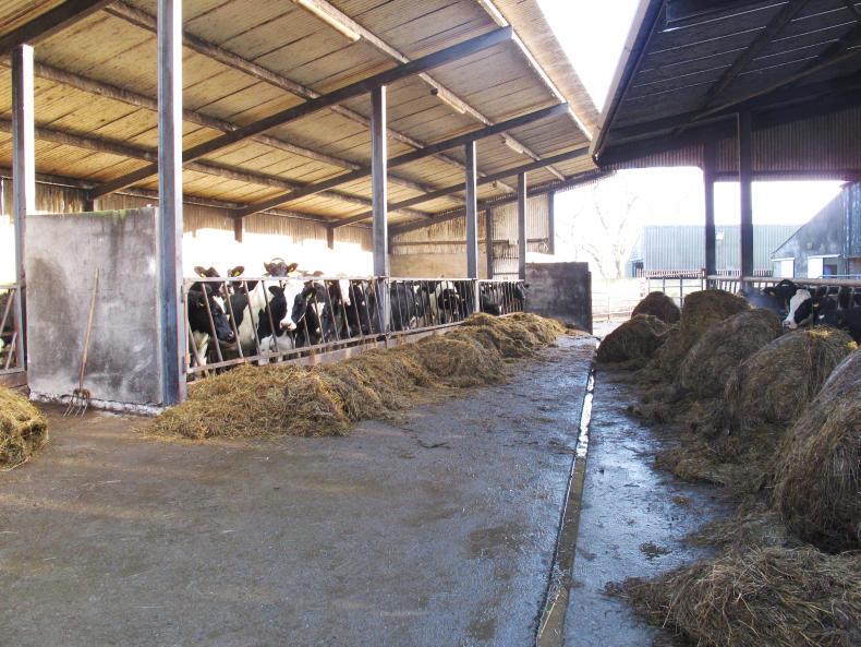 Milking season coming to a close in Cavan Milking season coming to a close in Cavan