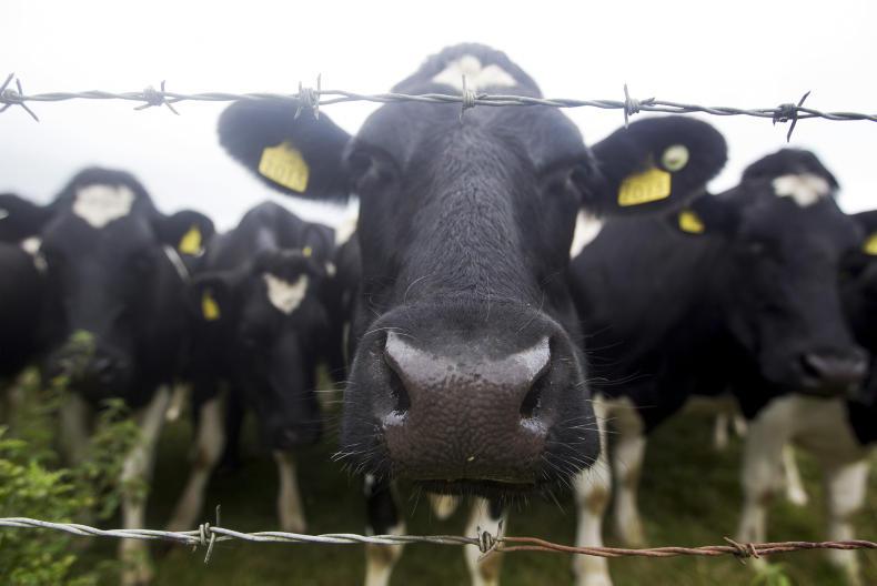 Nitrates derogation at risk for 2018 Nitrates derogation at risk for 2018