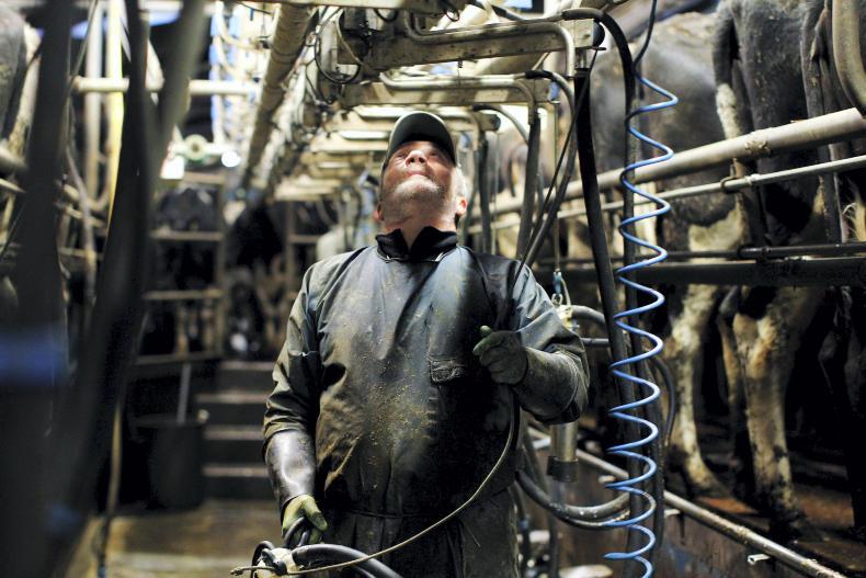 Plenty of agri jobs on dairy farms Plenty of agri jobs on dairy farms