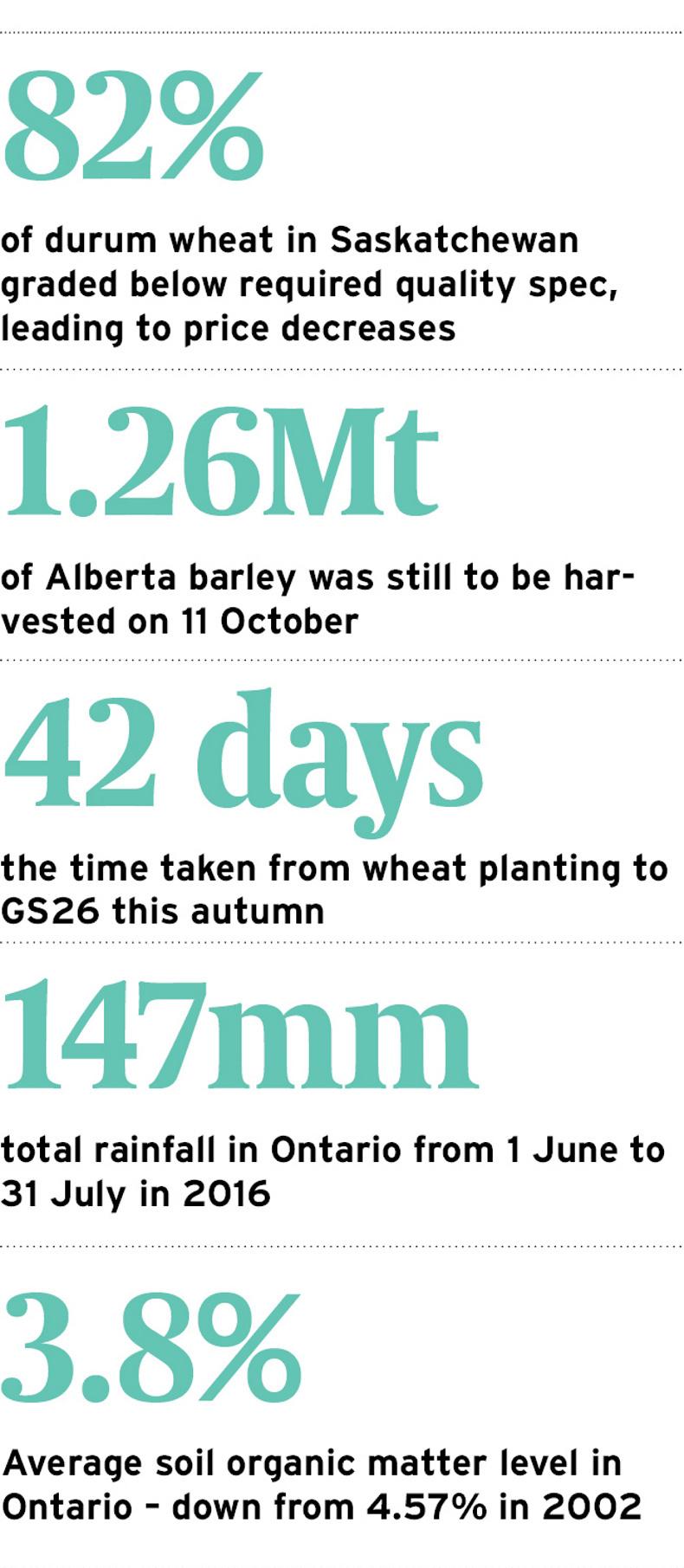 Big Canada harvest despite weather challenges Big Canada harvest despite weather challenges