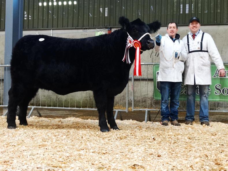 Christmas comes early for Carrigroe Christmas comes early for Carrigroe