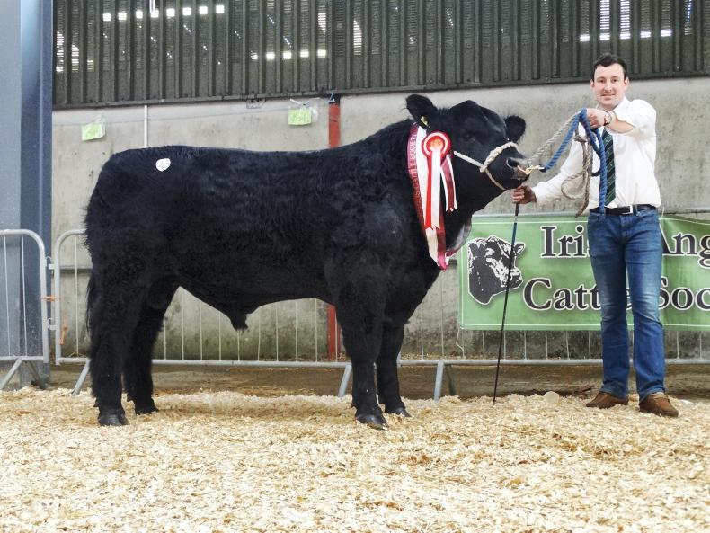 Christmas comes early for Carrigroe Christmas comes early for Carrigroe