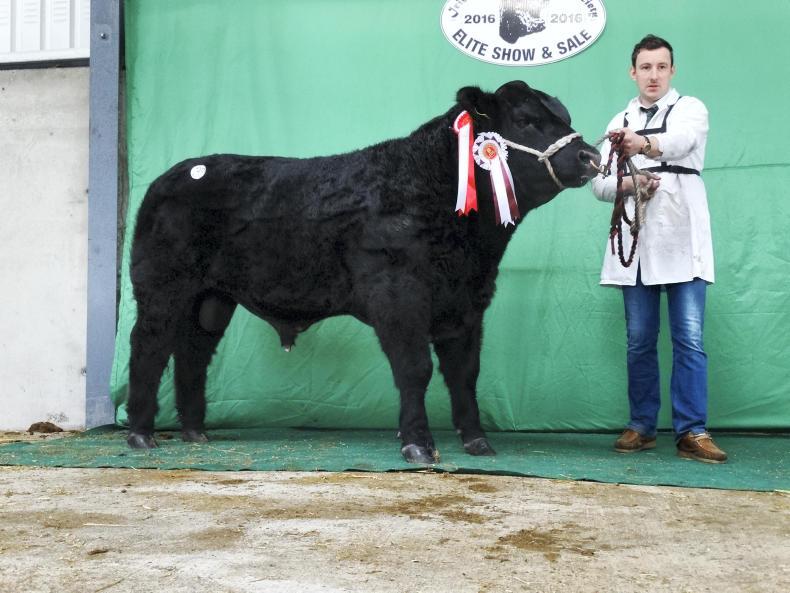 Christmas comes early for Carrigroe Christmas comes early for Carrigroe