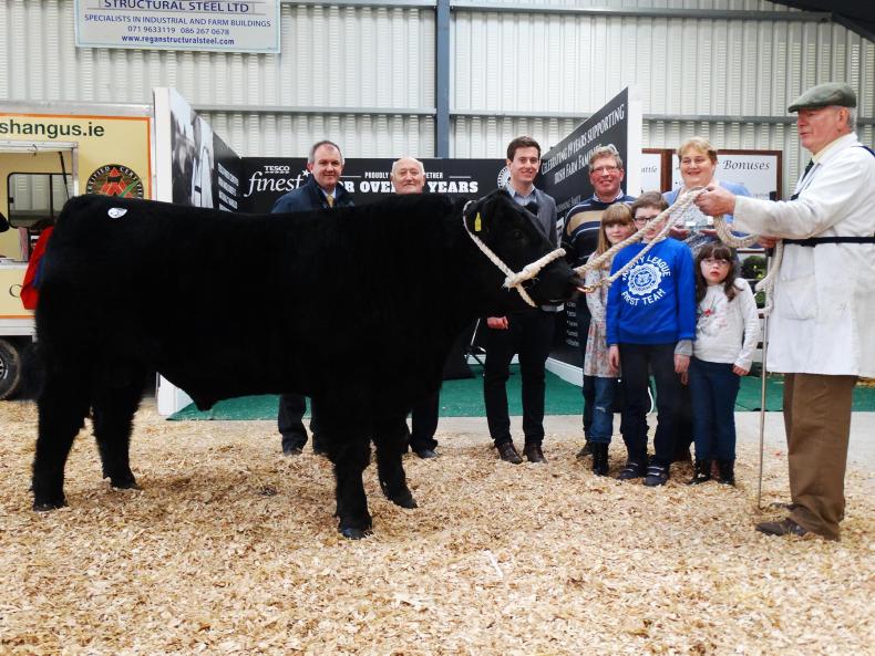 Christmas comes early for Carrigroe Christmas comes early for Carrigroe