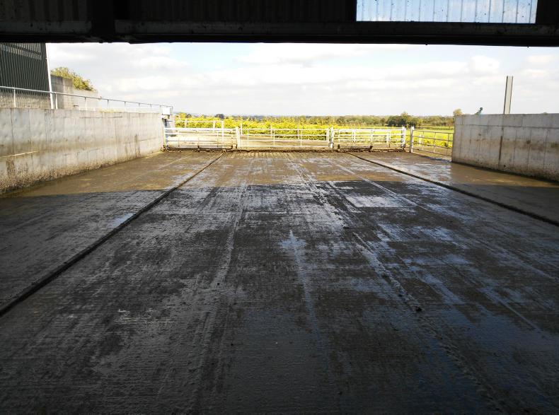 Watch Managing 300 dairy cows with ease Premium