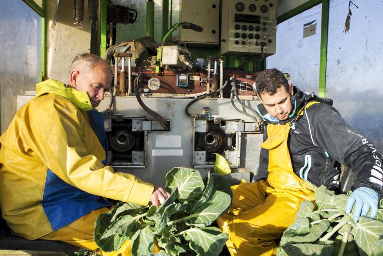 My farming week: Cathal Lenehan, Hill of Tara, Co Meath My farming week: Cathal Lenehan, Hill of Tara, Co Meath