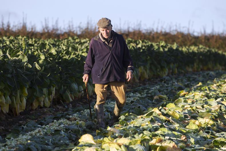 My farming week: Cathal Lenehan, Hill of Tara, Co Meath My farming week: Cathal Lenehan, Hill of Tara, Co Meath