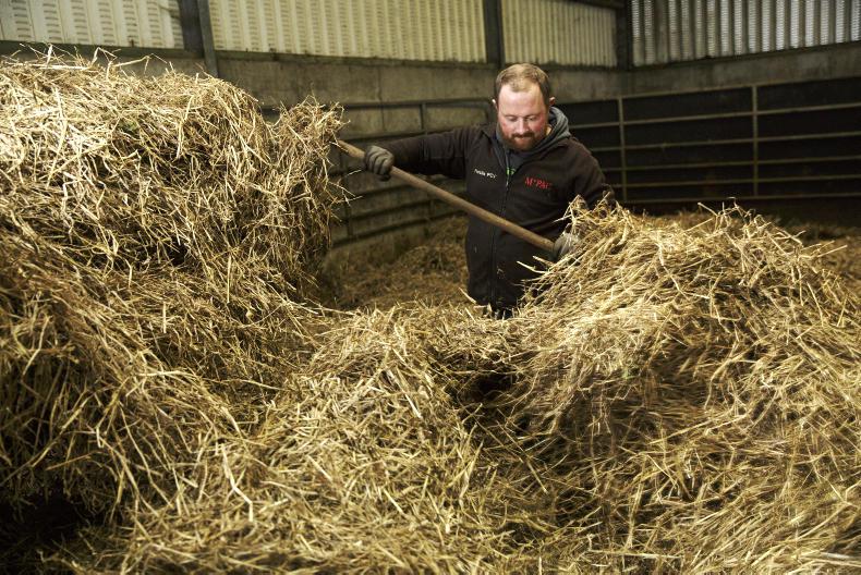 Farmer Writes: the cows work for you, not you work for the cows Farmer Writes: the cows work for you, not you work for the cows