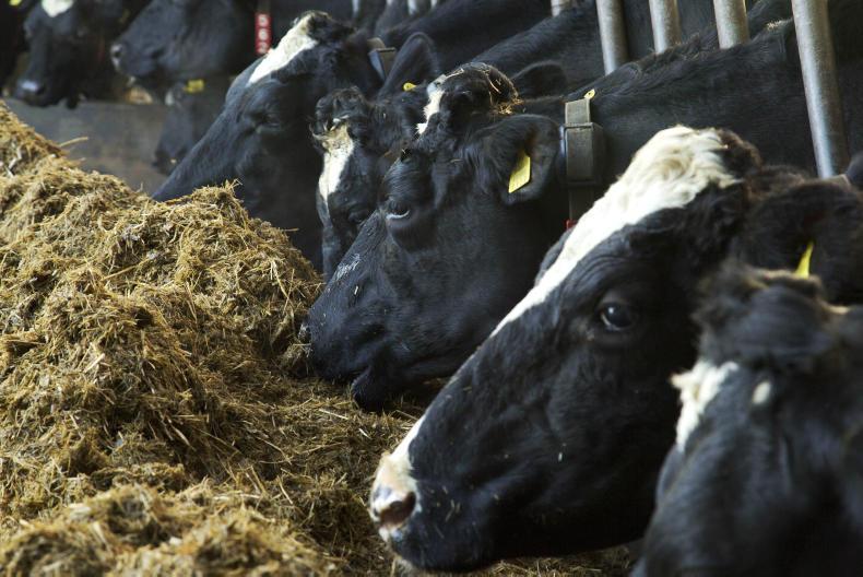 Alltech warns of mycotoxin levels in feed Alltech warns of mycotoxin levels in feed