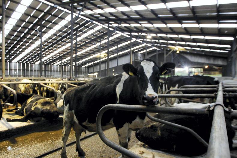 GDT declines by 3.9% in first auction of 2017 GDT declines by 3.9% in first auction of 2017