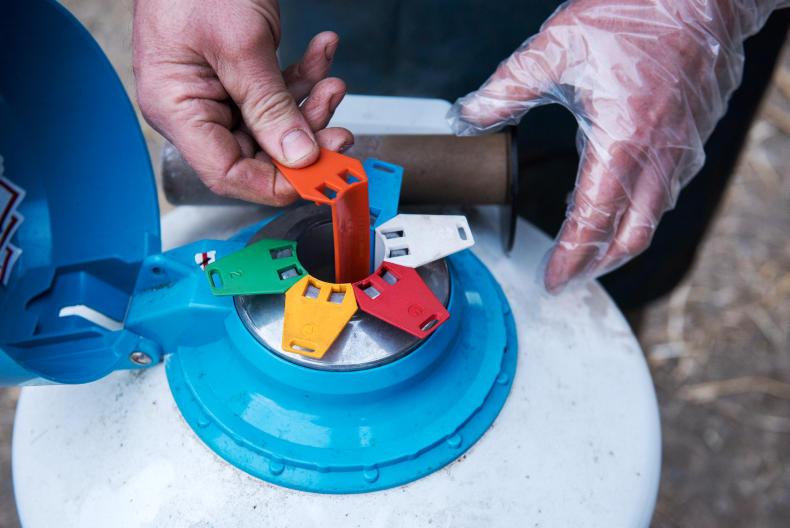 What pedigree breed bulls are doing the business? What pedigree breed bulls are doing the business?