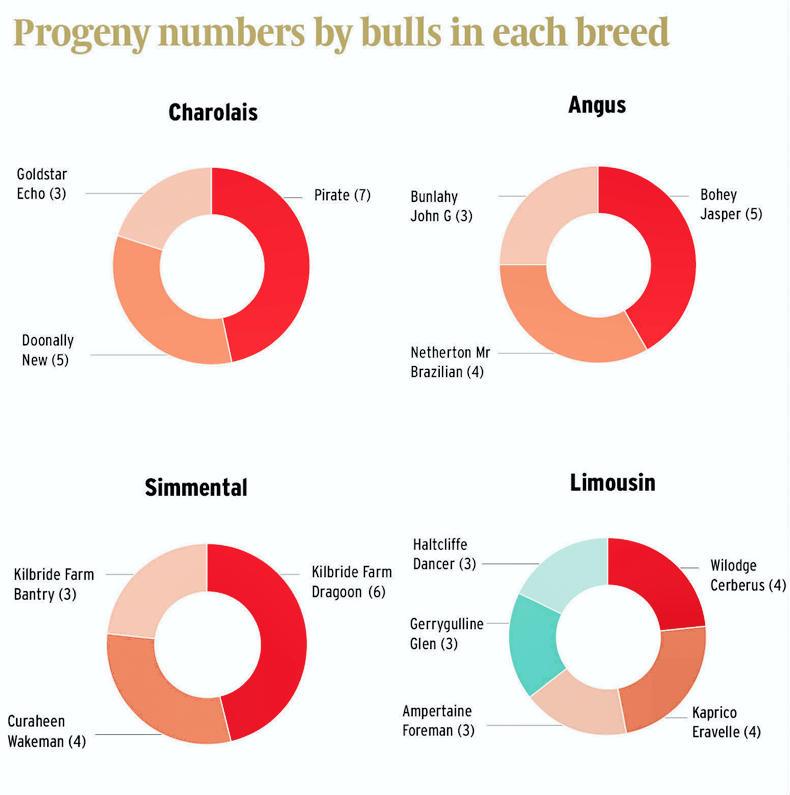 What pedigree breed bulls are doing the business? What pedigree breed bulls are doing the business?