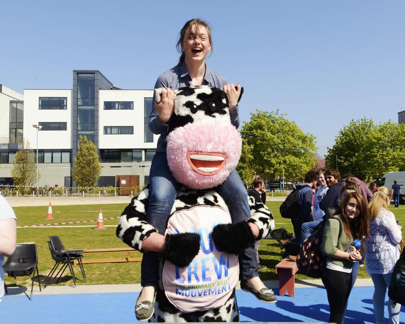 Listen: 10-point guide to CAO success Listen: 10-point guide to CAO success