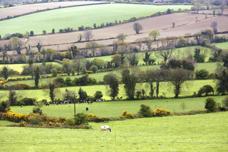 'They got the whole thing... because they were boys'