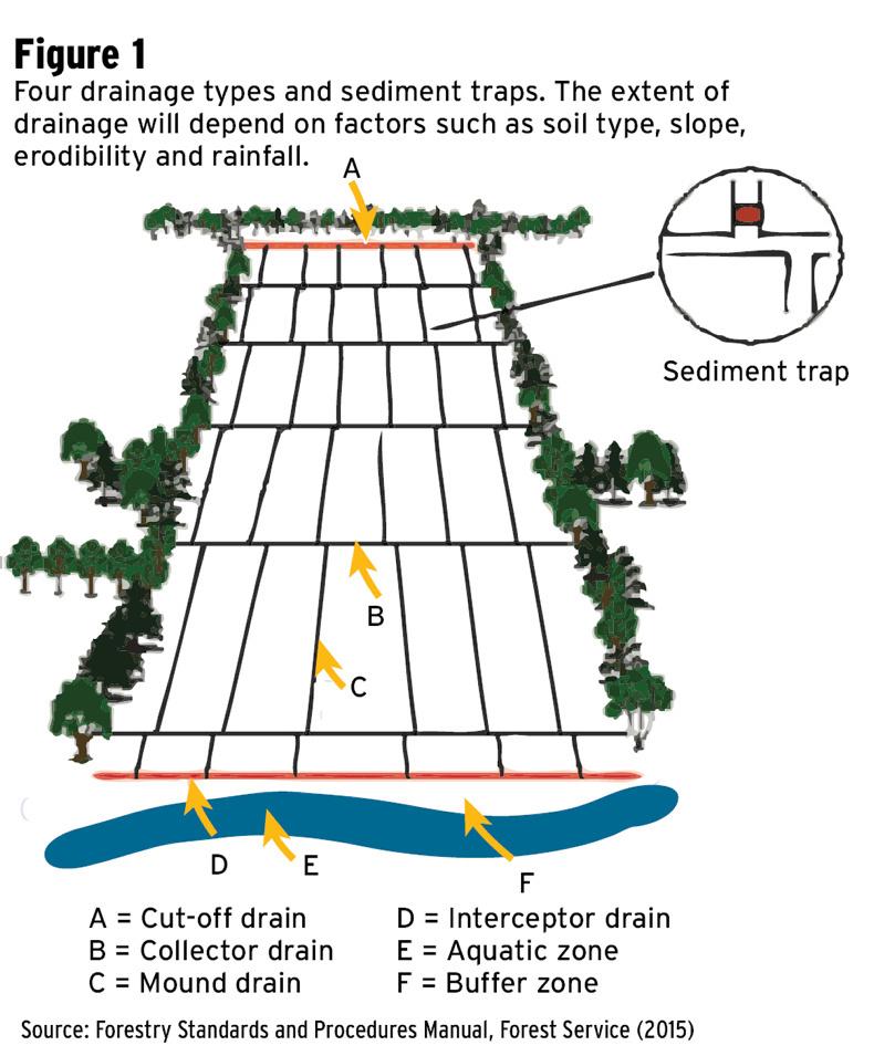 The importance of forest drainage in Ireland The importance of forest drainage in Ireland