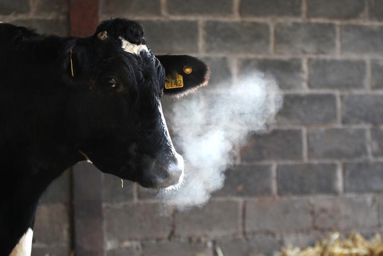 Farmer Writes: be brave or be careful Farmer Writes: be brave or be careful