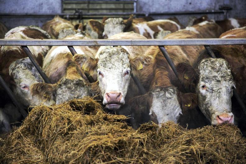 Farmer Writes: counting the fertiliser and meal costs Farmer Writes: counting the fertiliser and meal costs