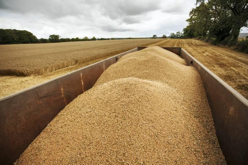 Grain prices: weather patterns continue to underpin grain markets Grain prices: weather patterns continue to underpin grain markets