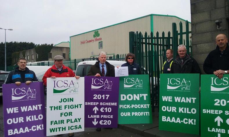 Lamb prices reflect trading conditions - MII Lamb prices reflect trading conditions - MII