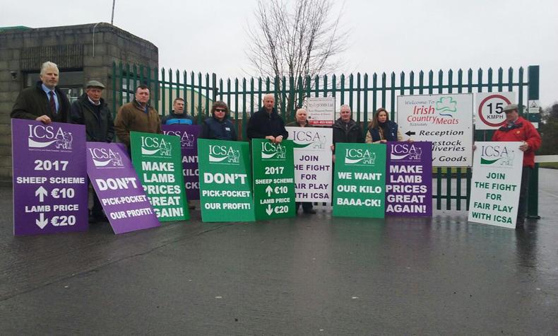 Lamb prices reflect trading conditions - MII Lamb prices reflect trading conditions - MII