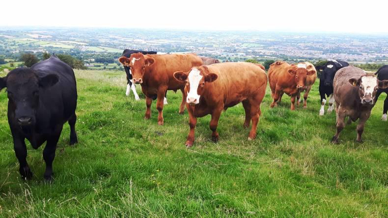 News in-brief from Northern Ireland News in-brief from Northern Ireland