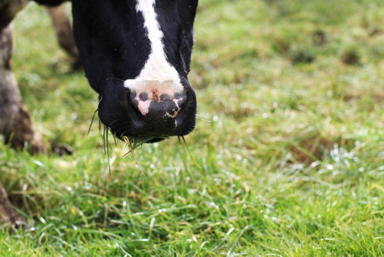 Clarke pushing for higher solids