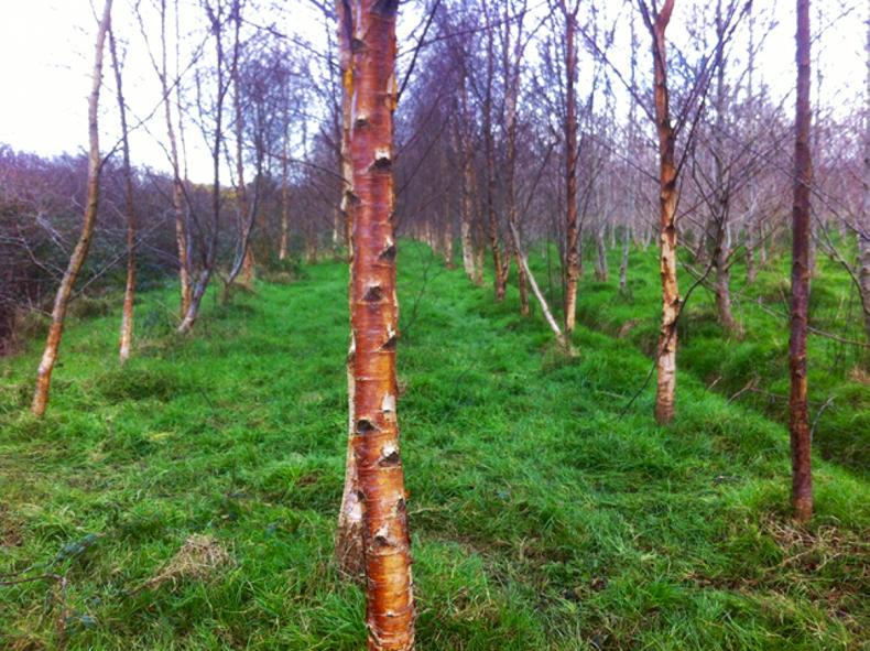 Farmer Writes: the officialdom battle Farmer Writes: the officialdom battle