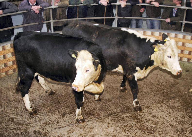 Mart wins €300,000 legal battle with cattle dealer Mart wins €300,000 legal battle with cattle dealer