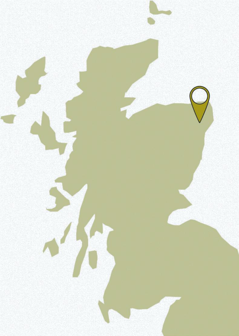 Farm Profit Programme: the Biffen family profile Farm Profit Programme: the Biffen family profile