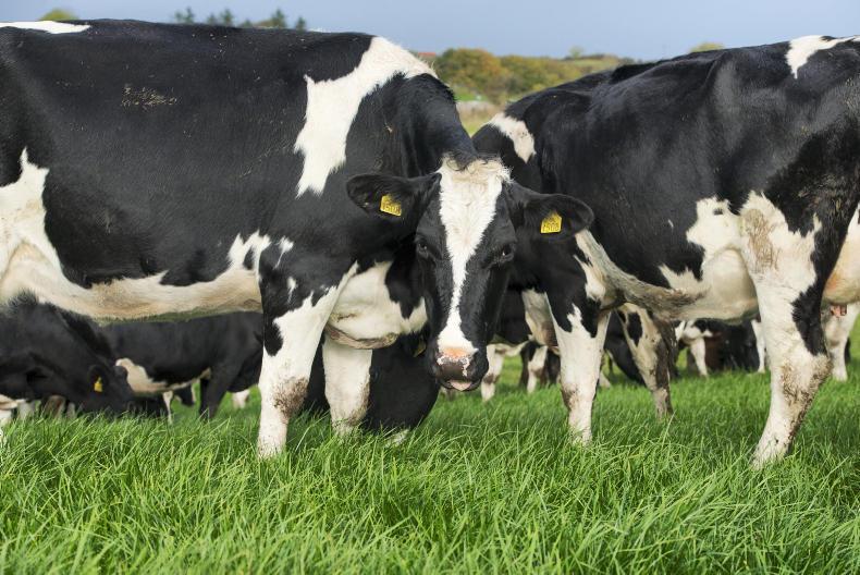 Agrijobs: farm managers and a director of agrifood Agrijobs: farm managers and a director of agrifood