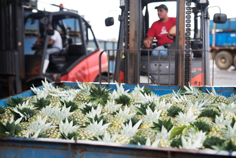 Fyffes times better - following fruit around the world Fyffes times better - following fruit around the world