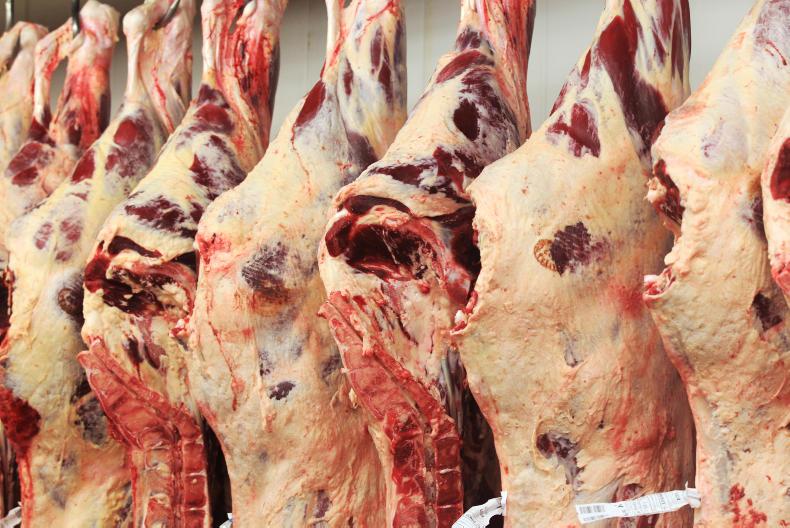 Monday trends update: bit more bite in the beef trade Monday trends update: bit more bite in the beef trade