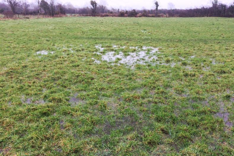 22mm of rainfall on Sunday in Athenry as wet and windy conditions continue 22mm of rainfall on Sunday in Athenry as wet and windy conditions continue