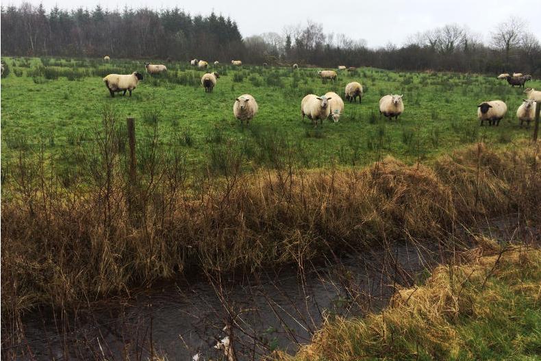 22mm of rainfall on Sunday in Athenry as wet and windy conditions continue 22mm of rainfall on Sunday in Athenry as wet and windy conditions continue