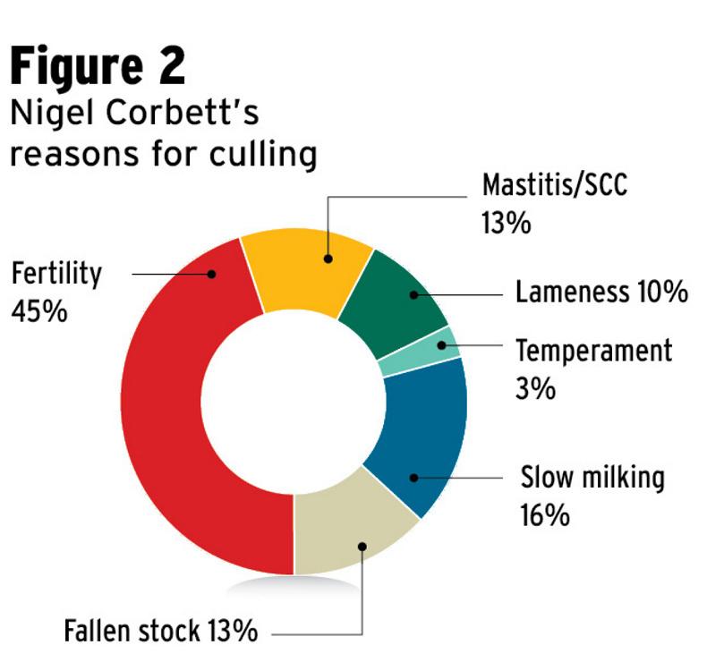 Dairylink herd health prevention costs: Nigel Corbett Dairylink herd health prevention costs: Nigel Corbett