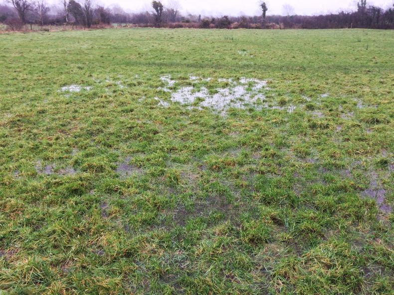 February storms bring rainfall levels back up February storms bring rainfall levels back up