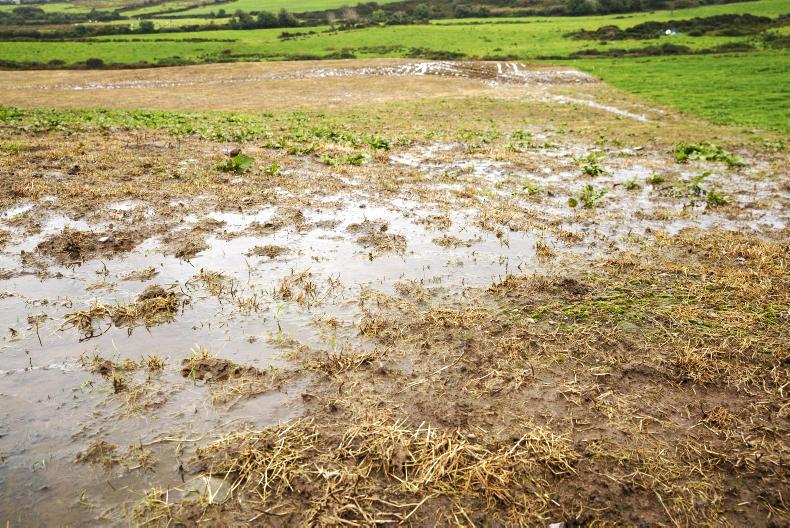 Rainfall warning for the south west Rainfall warning for the south west