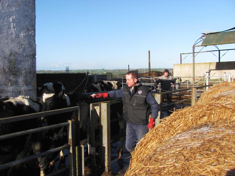 The Agri Careers Fair: what employers want The Agri Careers Fair: what employers want