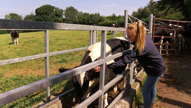 The Agri Careers Fair: what employers want The Agri Careers Fair: what employers want