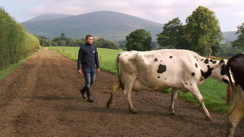 The Agri Careers Fair: what employers want The Agri Careers Fair: what employers want