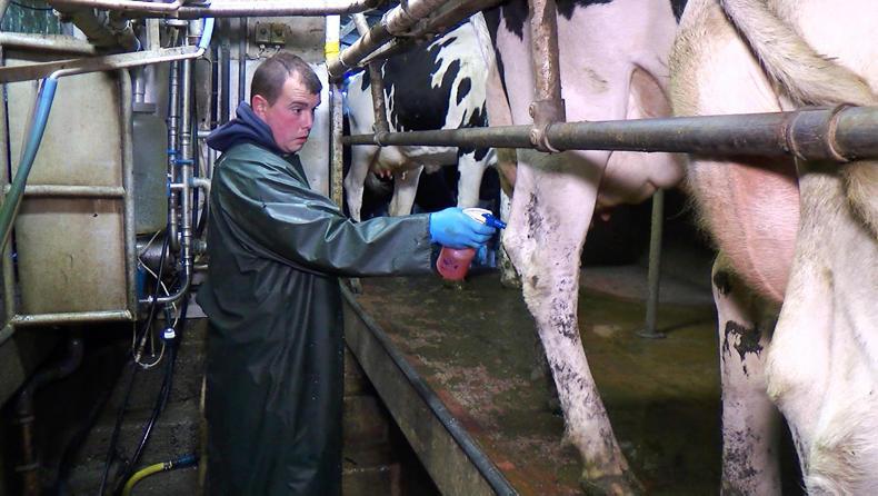 The Agri Careers Fair: what employers want The Agri Careers Fair: what employers want