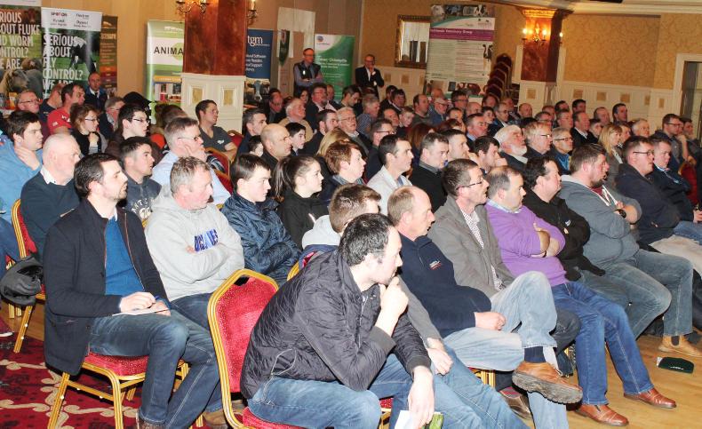 Farmers should record and investigate lambing losses Farmers should record and investigate lambing losses