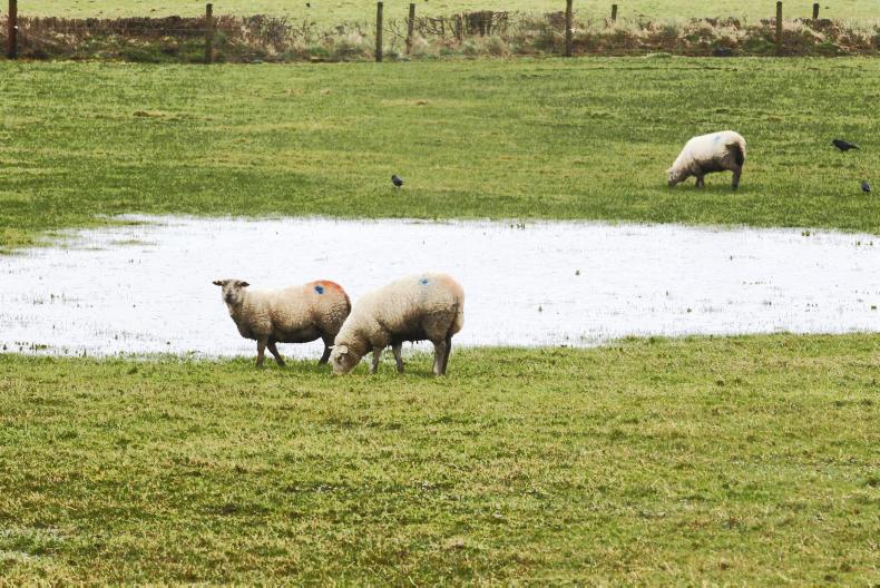 Weekend weather: rainfall warning for the northwest Weekend weather: rainfall warning for the northwest