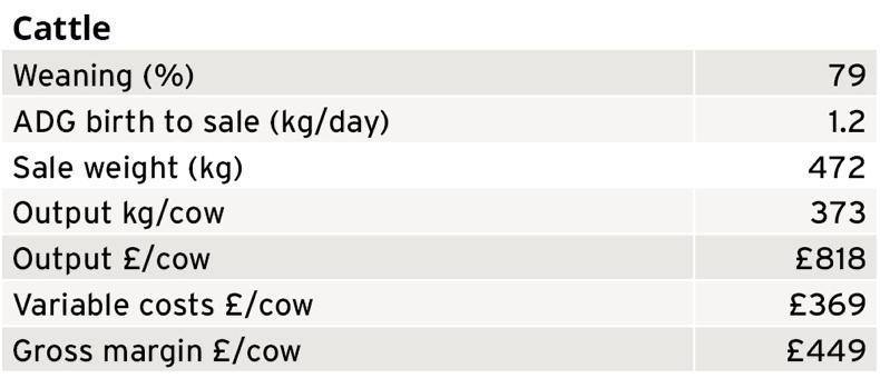 Farm Profit Programme: compacting calving period to increase profitability Farm Profit Programme: compacting calving period to increase profitability