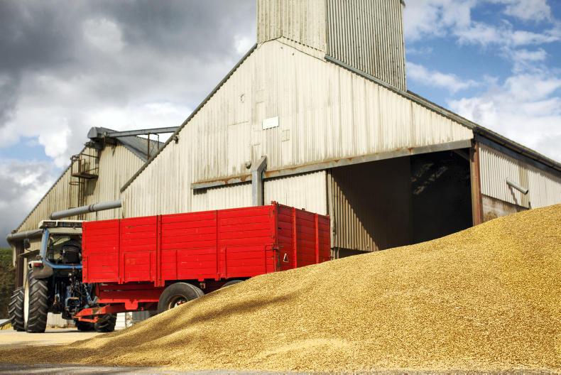 Grain prices: steady week for grain futures Grain prices: steady week for grain futures
