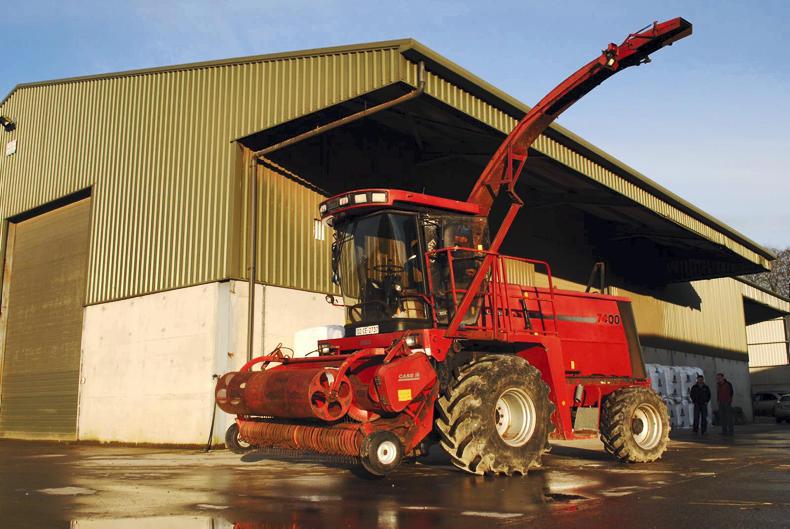 A charity Case joins the team at Trim A charity Case joins the team at Trim