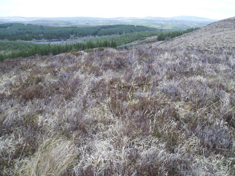 Land eligibility rests with farmers Land eligibility rests with farmers