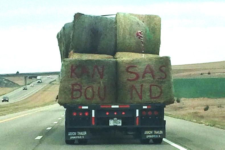 Watch: US farmers rally together to help victims of wildfires Watch: US farmers rally together to help victims of wildfires