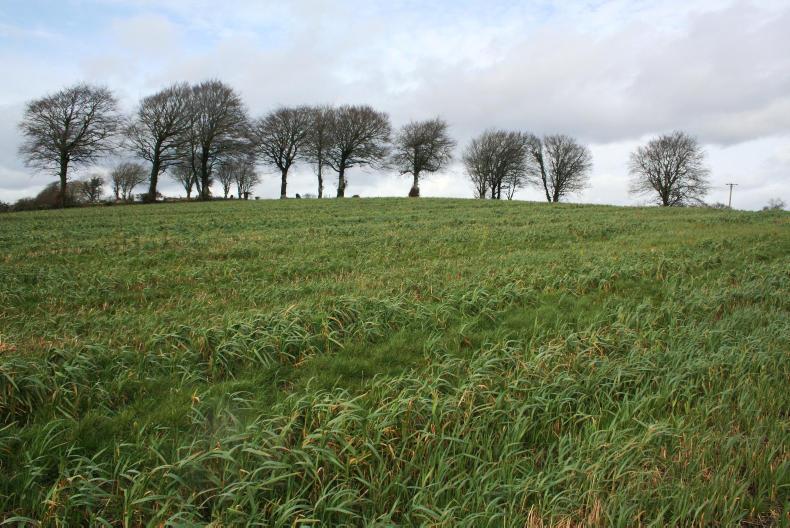 Keenly priced in Co Westmeath Keenly priced in Co Westmeath