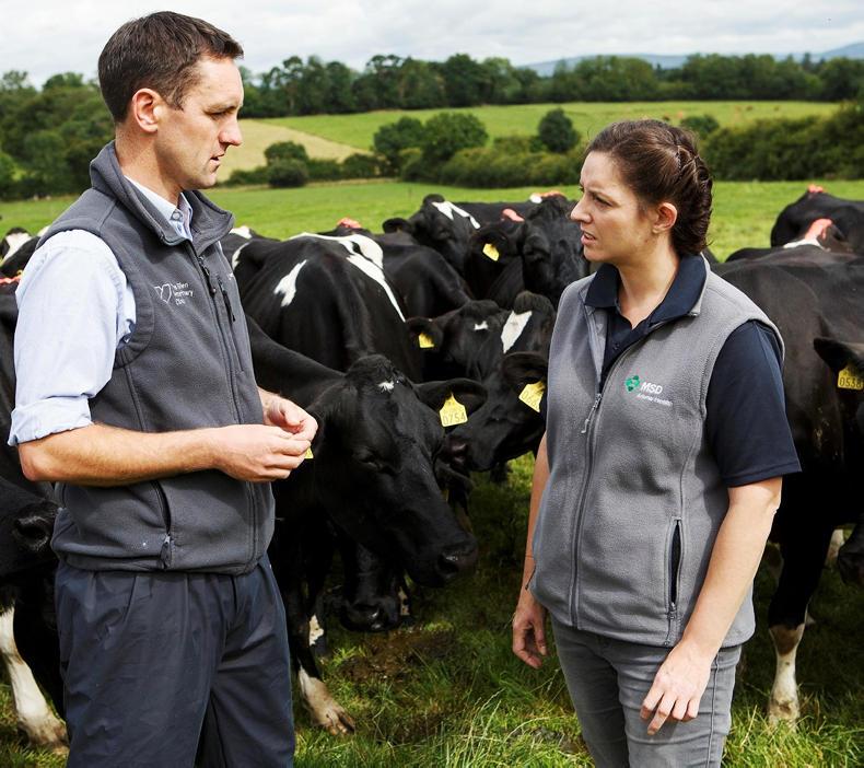 MSD recruiting at Agri Careers Fair MSD recruiting at Agri Careers Fair